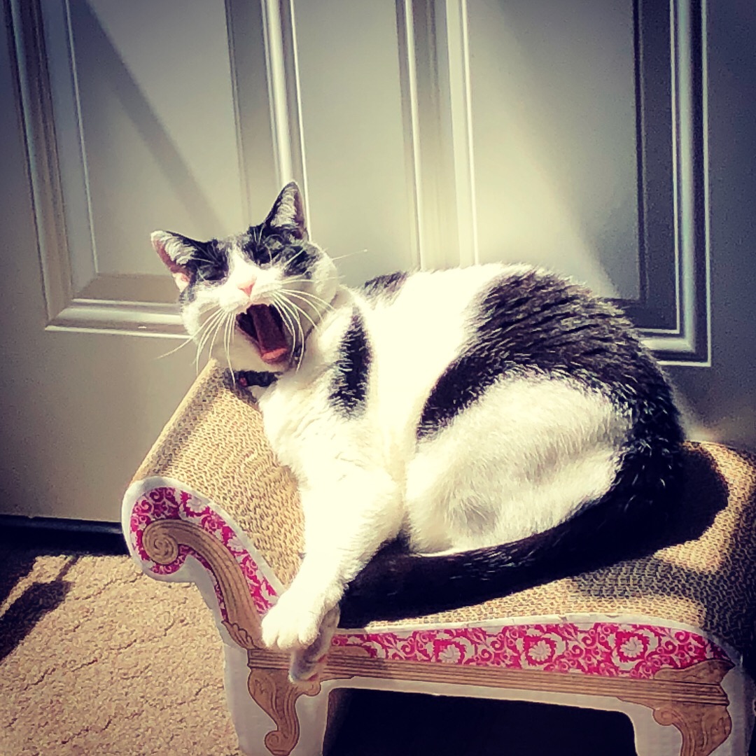 DC8B8380-EB78-4349-8716-0135ED73A5B1